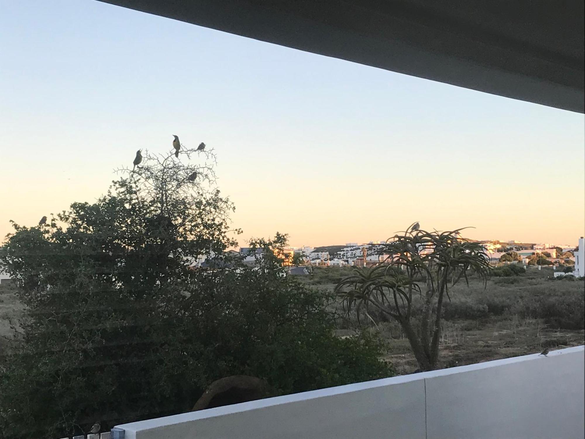 Perfect 10 - 10 To 13 Sleeper Luxury Holiday Home Breakage Deposit Of R2500 Per Weekend Lease Langebaan Exterior photo