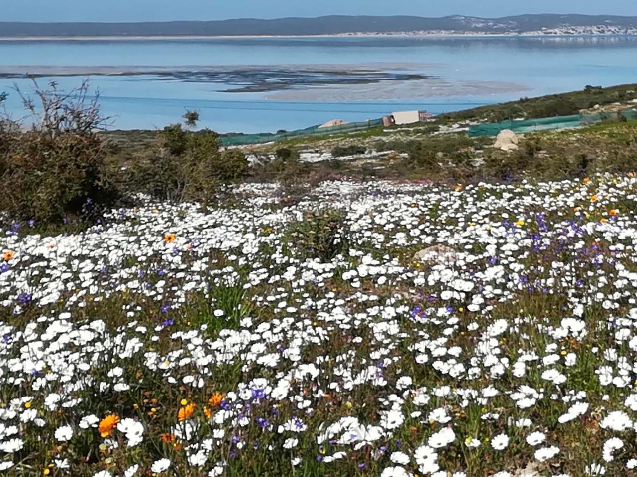 Perfect 10 - 10 To 13 Sleeper Luxury Holiday Home Breakage Deposit Of R2500 Per Weekend Lease Langebaan Exterior photo