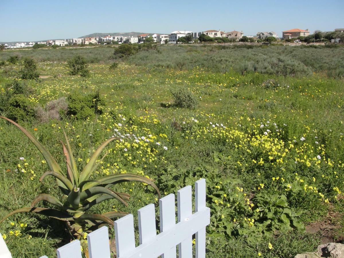 Perfect 10 - 10 To 13 Sleeper Luxury Holiday Home Breakage Deposit Of R2500 Per Weekend Lease Langebaan Exterior photo